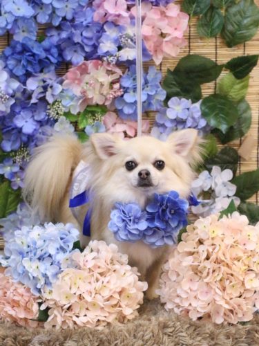 20250629とわくん